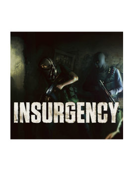 Insurgency